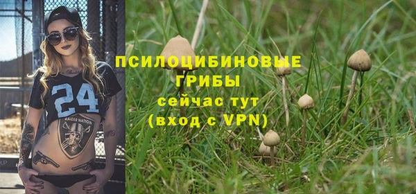 меф Арсеньев