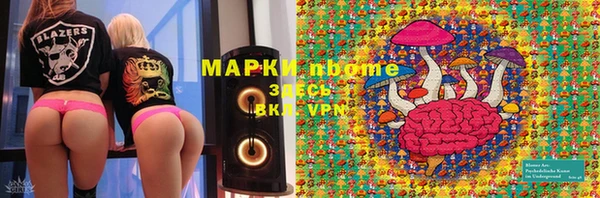 тгк Аркадак