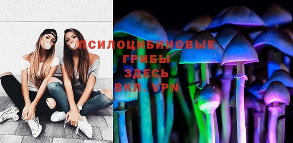 тгк Аркадак