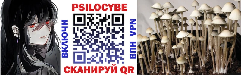 Псилоцибиновые грибы прущие грибы  Ясногорск 